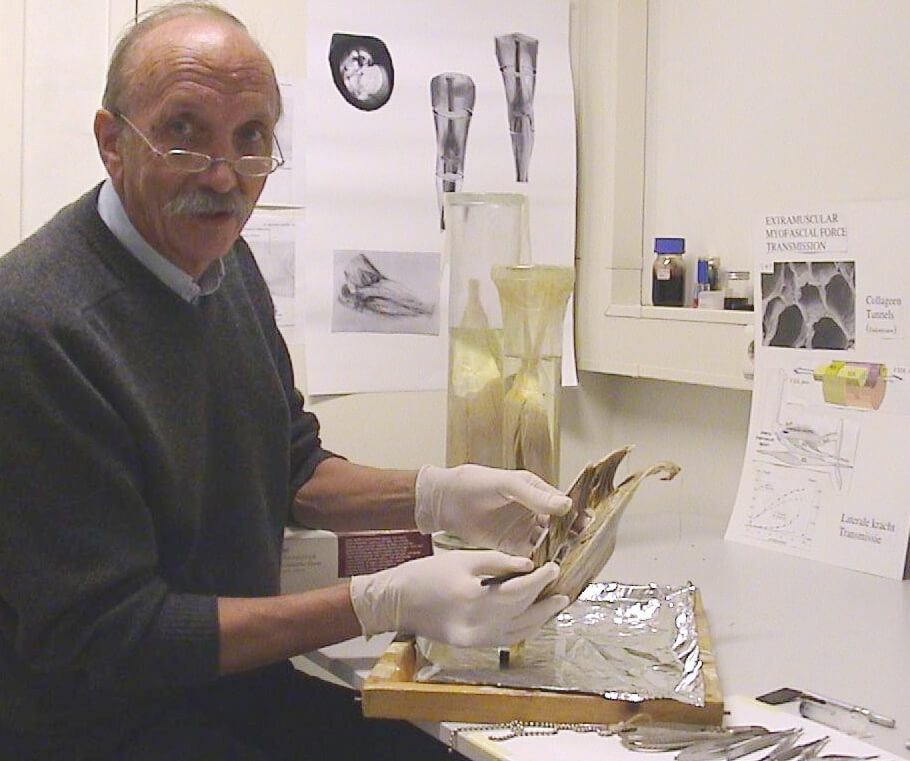 Prof. Emeritus Peter Huijing PhD – Fascia@sea