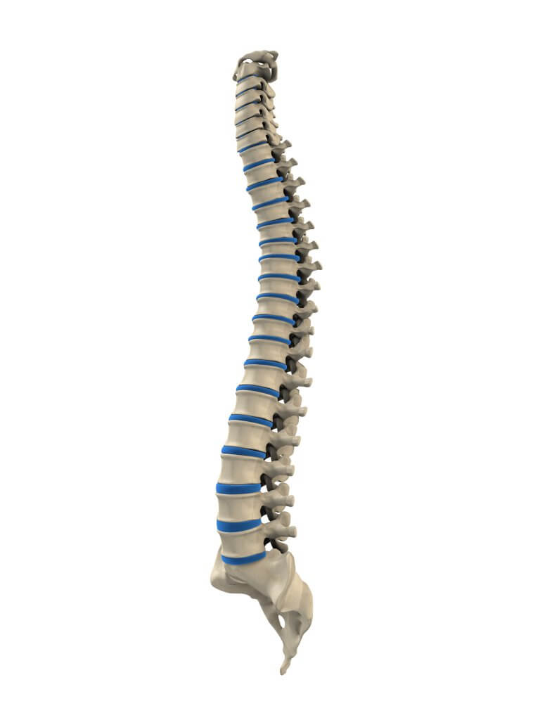 Advanced Spinal Manipulation Course 2 - Advanced with Daryl Herbert DO