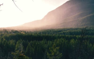 Mountain view