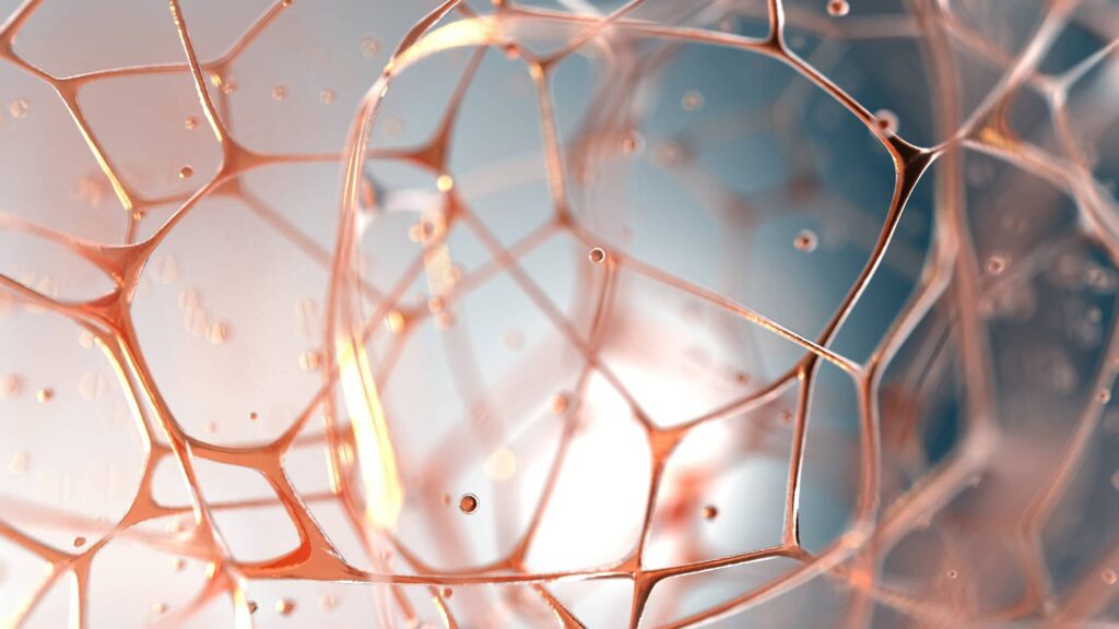 Fascinating fascia – with Robert Schleip PhD