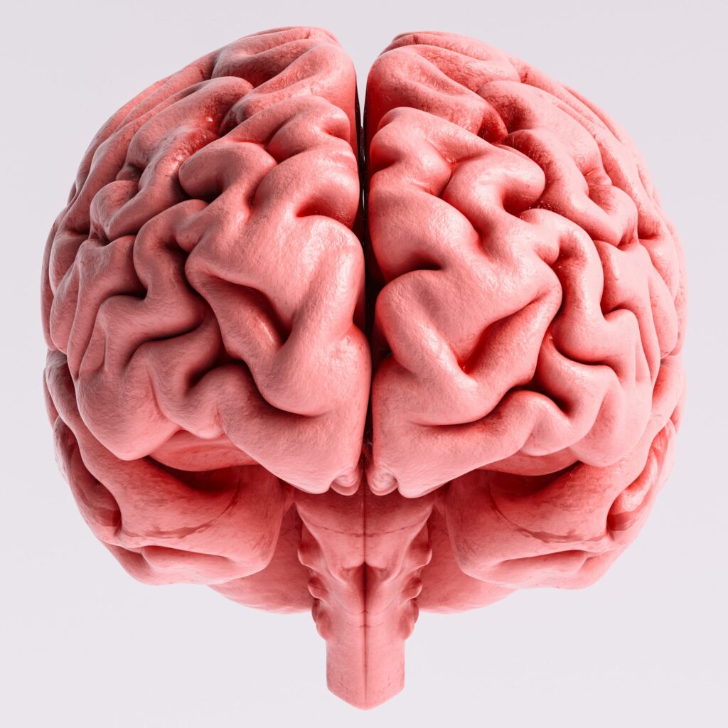 COURSE IN THE SPOTLIGHT: Neurovisceral integrative model and its application in osteopathy with Pascal Grolaux DO