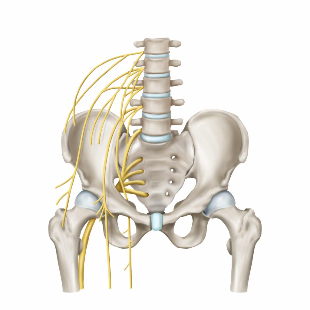 Osteopathie bij Plexus Lumbosacralis en Lumbale Klachten met Ad Warmerdam DO