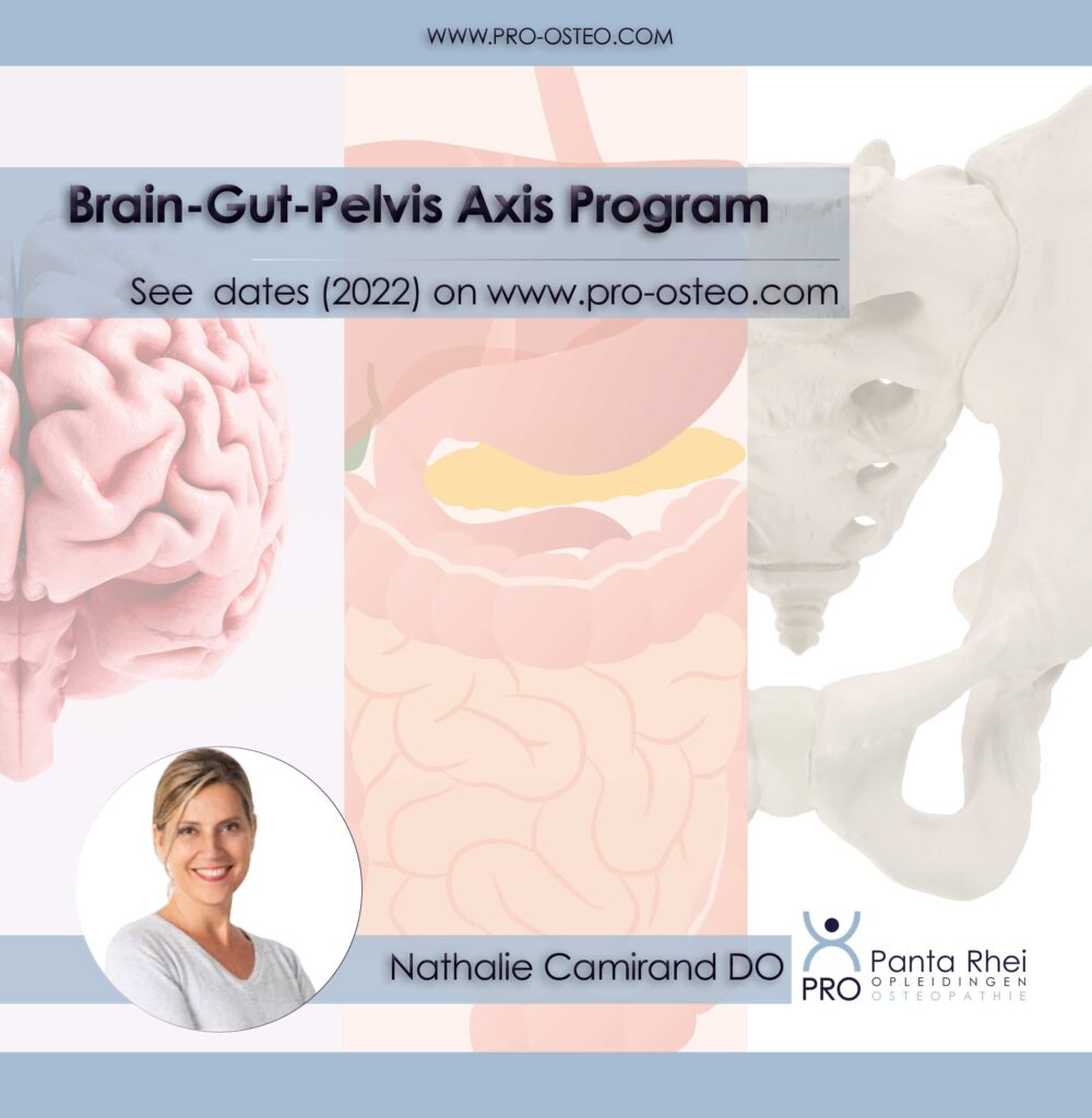 New Course: Brain-Gut-Pelvis Axis with Nathalie Camirand DO
