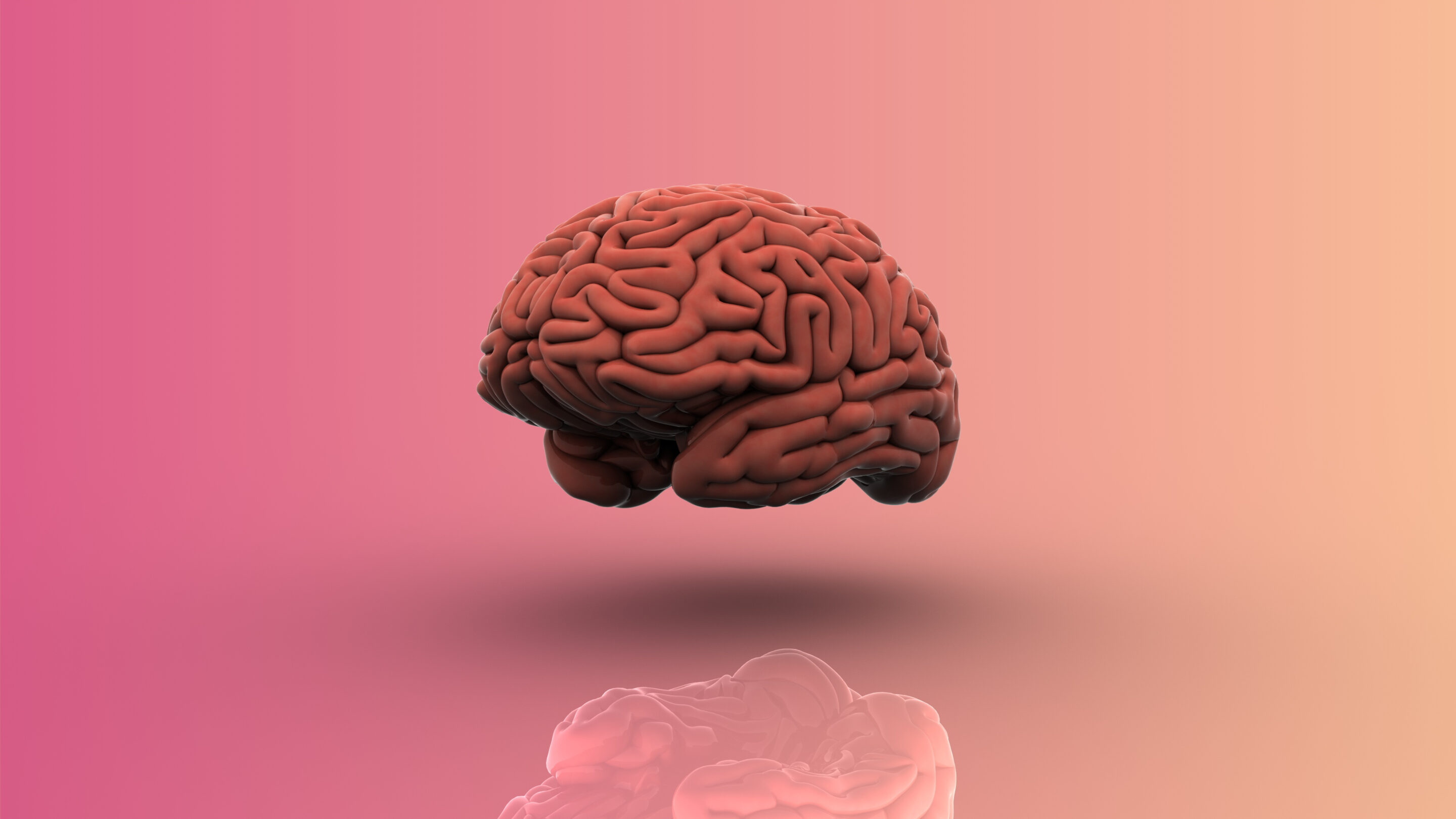 Neurovisceral integrative model and its application in osteopathy | 11-13 November 2021  GEACCREDITEERD door NRO (21 punten), in aanvraag bij NOF en GNRPO