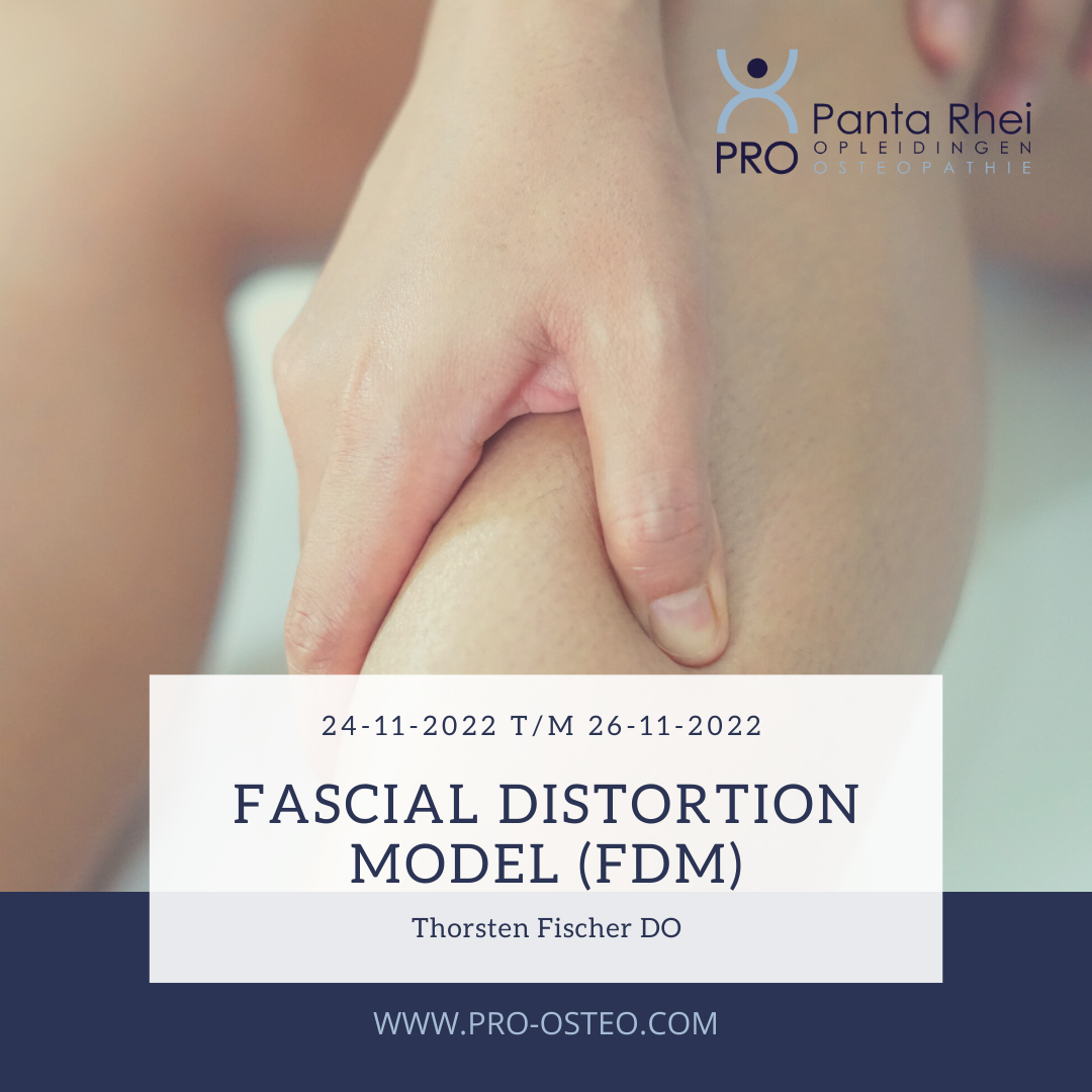 New course: Fascial Distortion Model (FDM) with Thorsten Fischer