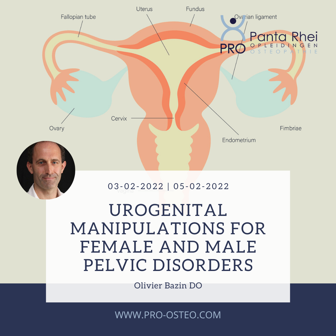 last minute place for the course: Urogenital Manipulations for Female and Male Pelvic Disorders met Olivier Bazin DO! This Thursday, February 3rd till Saturday February 5th!
