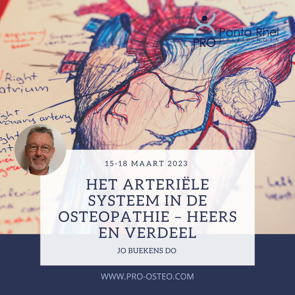 Een bericht van Jo Buekens DO!