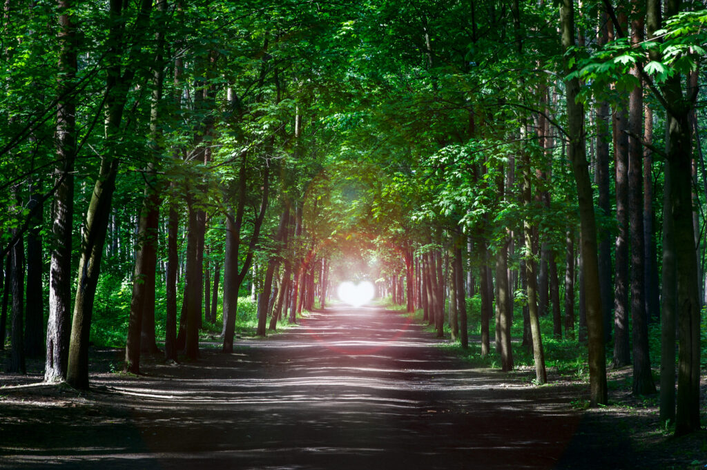The Path  of the Heart with Bruno Ducoux DO
